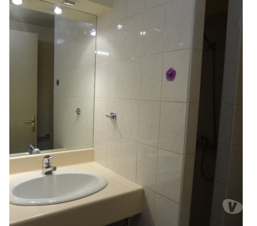 Appartement meublé Ain Bourg en Bresse - 01000 - Photos Vivastreet BEAU DUPLEX de 40 m2 tout meublé
