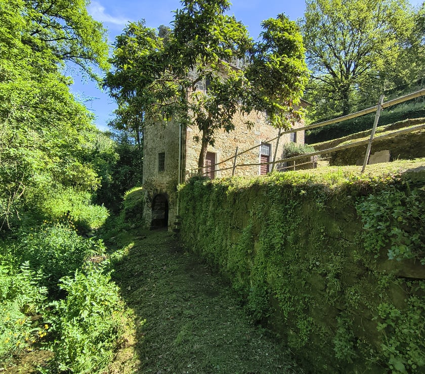 Vente Maison Italie - Photos Vivastreet Ancien Moulin Vinci 215k