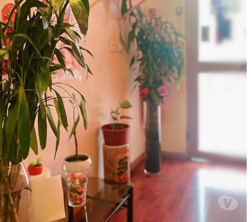 Massages Paris Paris 19ème ardt - 75019 - Photos Vivastreet Asie Anna Salon
