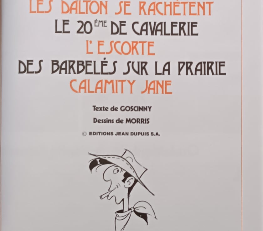 Livres occasion Vosges Madonne et Lamerey - 88270 - Photos Vivastreet collection lucky Luke