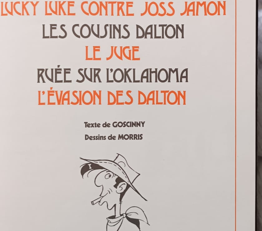 Livres occasion Vosges Madonne et Lamerey - 88270 - Photos Vivastreet collection lucky Luke