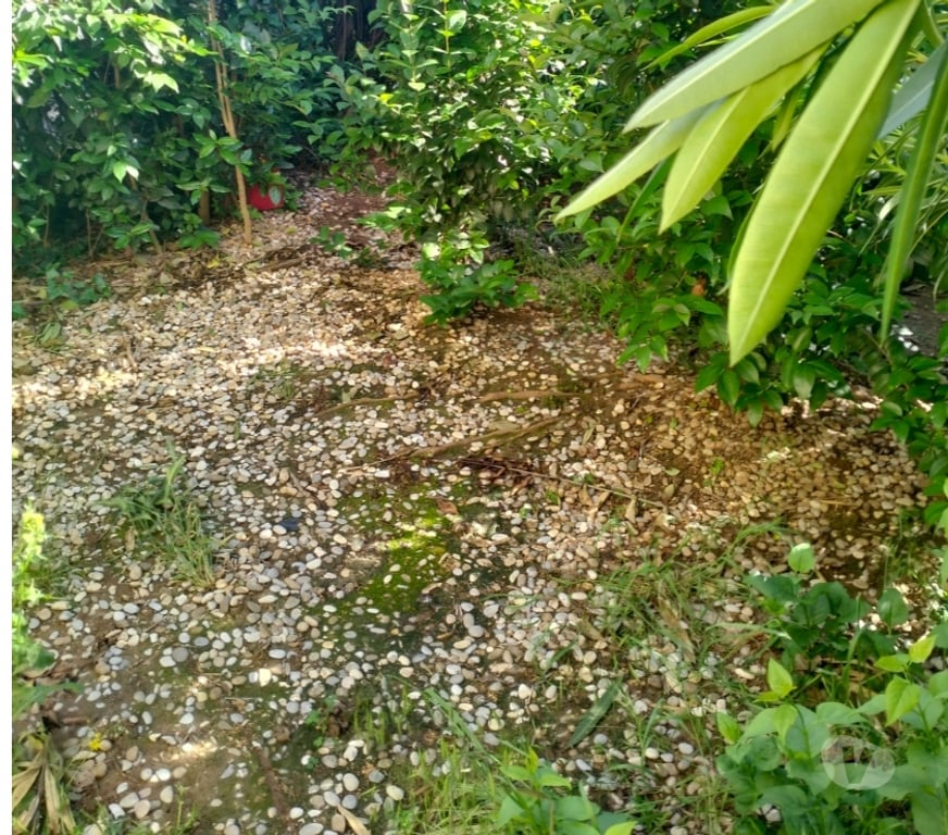 Appartement meublé Bouches-du-Rhône Aix en Provence - Photos Vivastreet T1 38 m2 avec jardin privatif de 40 m2+parking privatif+box