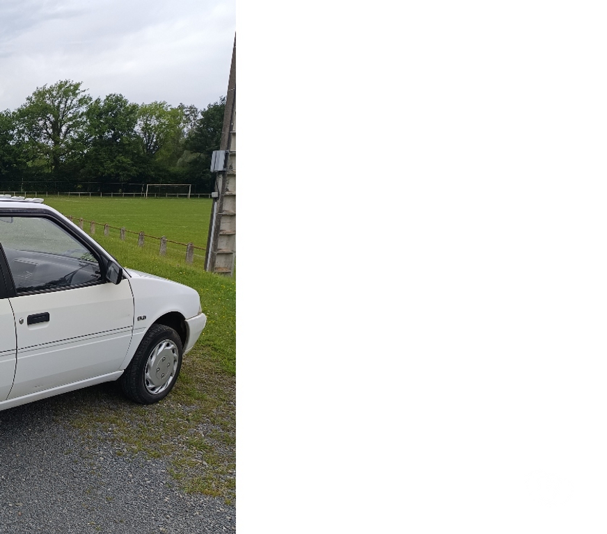 Voiture d'occasion Haute-Garonne Estadens - 31160 - Photos Vivastreet AX diesel 1.5 d