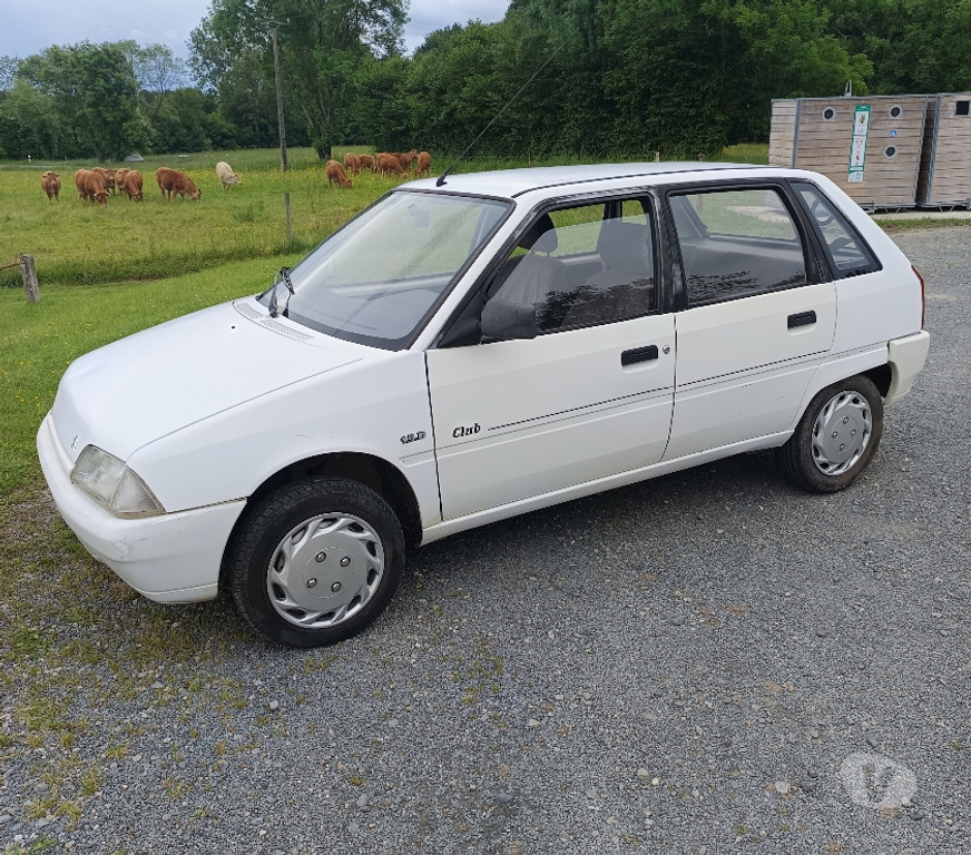 Voiture d'occasion Haute-Garonne Estadens - 31160 - Photos Vivastreet AX diesel 1.5 d