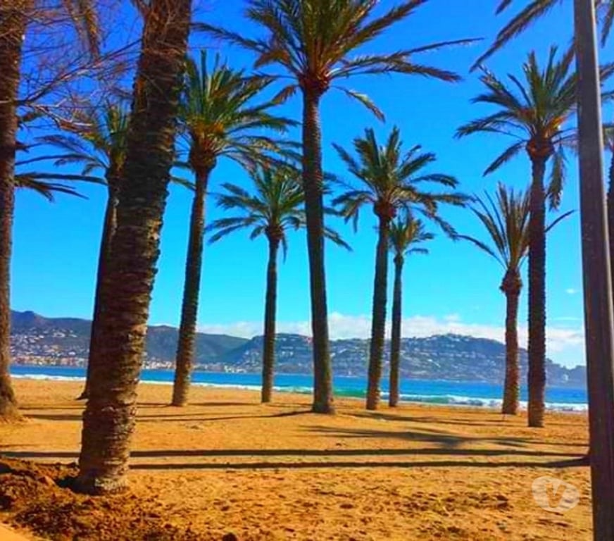 location saisonniere Espagne - Photos Vivastreet Vacances SOLyMAR ROSES 4 pers. Mer 150m