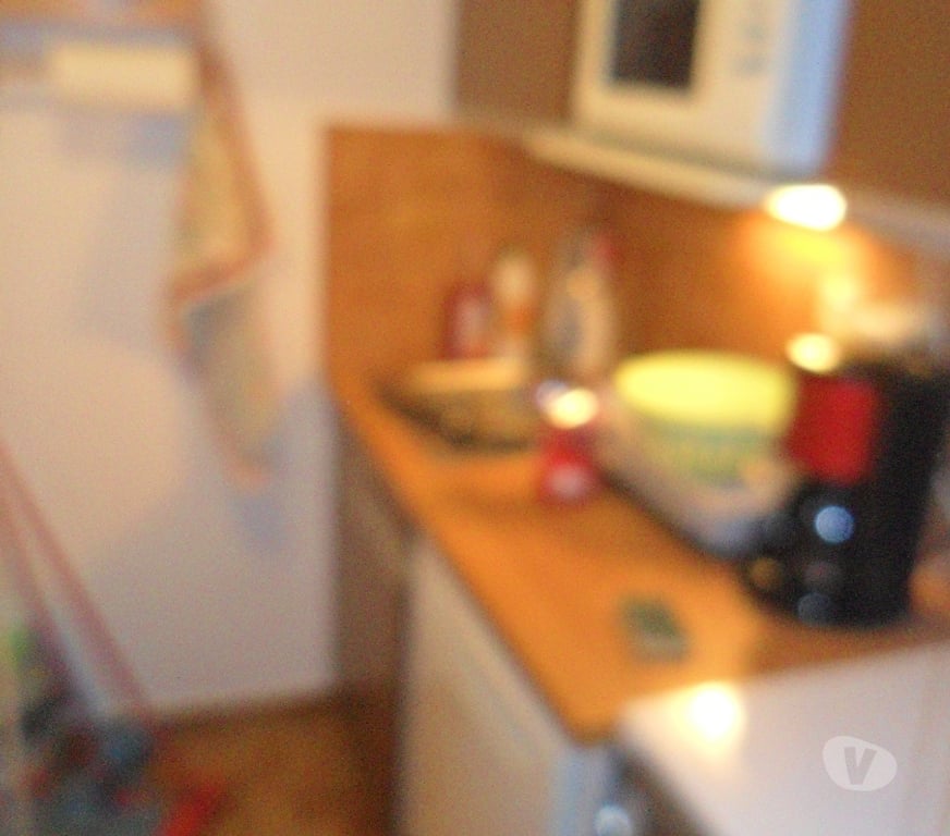Appartement meublé Hautes-Alpes Savines le Lac - 05160 - Photos Vivastreet Location meublée