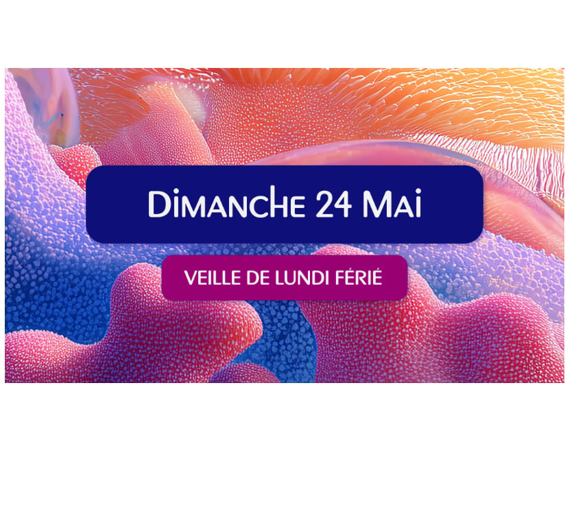 Billets spectacles Torcy Seine-et-Marne - Photos Vivastreet 4 places Marvellous Island Festival dimanche 24 mai Torcy