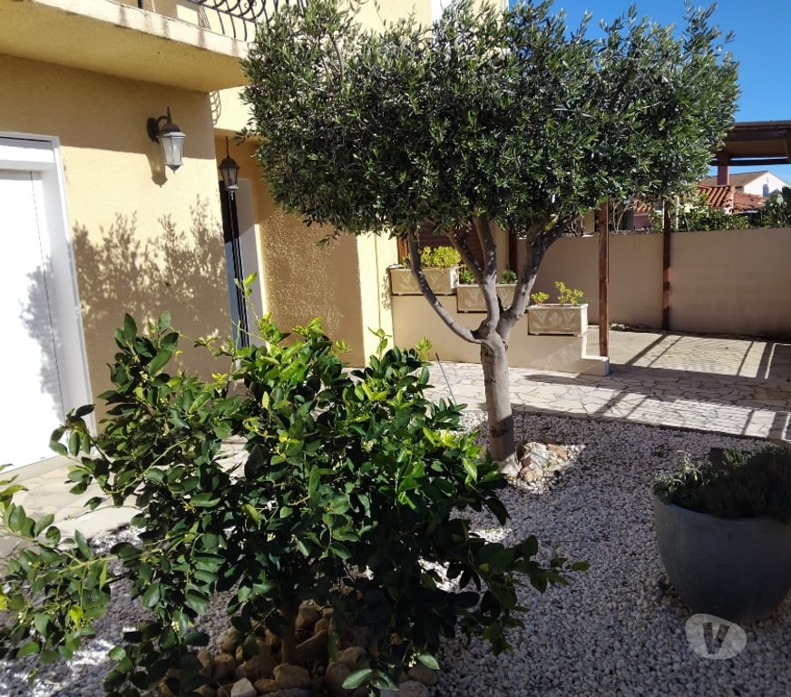 Vente Maison Pyrénées-Orientales Peyrestortes - 66600 - Photos Vivastreet VILLA 155M² 6 PIECES CLASSE B - SOLAIRE + PISCINE