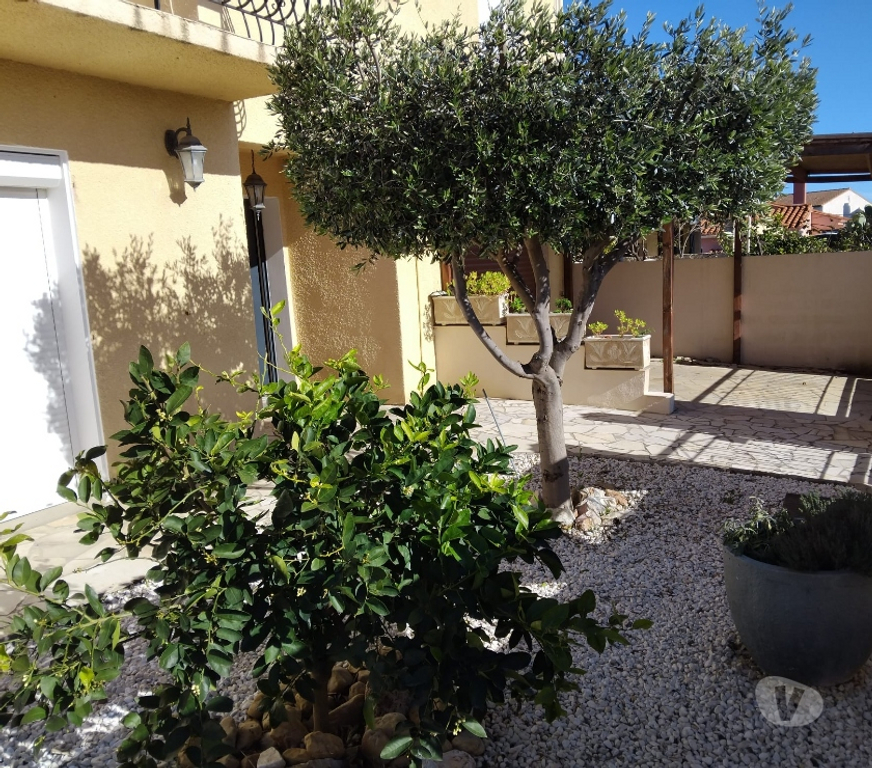 Vente Maison Pyrénées-Orientales Peyrestortes - 66600 - Photos Vivastreet TRES BELLE VILLA 6P 4CH 155m² + PISCINE CHAUFFÉ