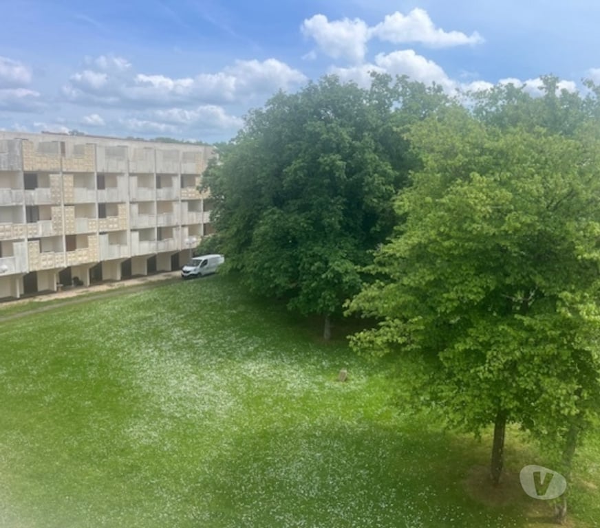 Appartement meublé Meurthe-et-Moselle Vandoeuvre les Nancy - 54500 - Photos Vivastreet Studio idéal étudiant Brabois