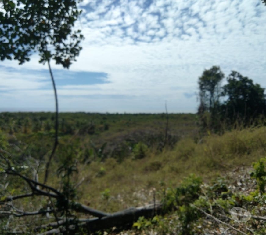 Terrain à vendre Val-de-Marne Ablon sur Seine - 94480 - Photos Vivastreet Terrain 201 HA Madagascar