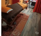 Tournon sur Rhone - Ardèche — massage professionnel DROME ARDECHE LOIRE