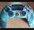 Aucamville - Haute-Garonne — Manette Howgarts Legacy