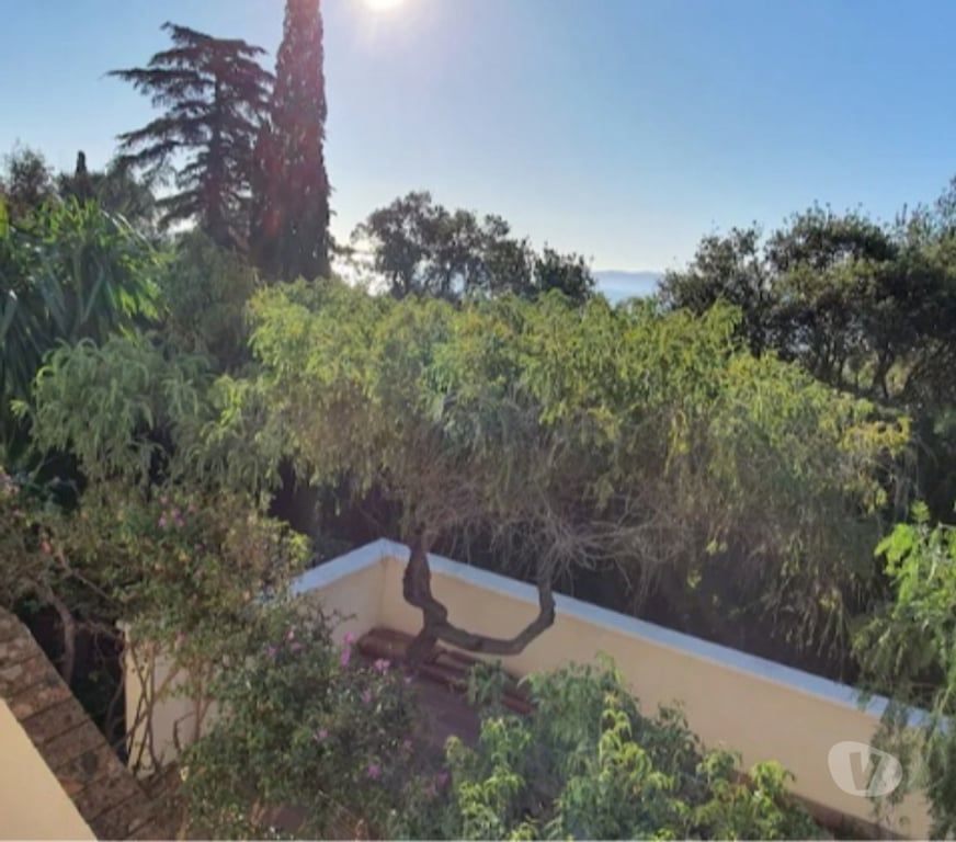 location saisonniere Var Le Lavandou - 83980 - Photos Vivastreet Villa Standing Vue Mer & Piscine, 450m Plages