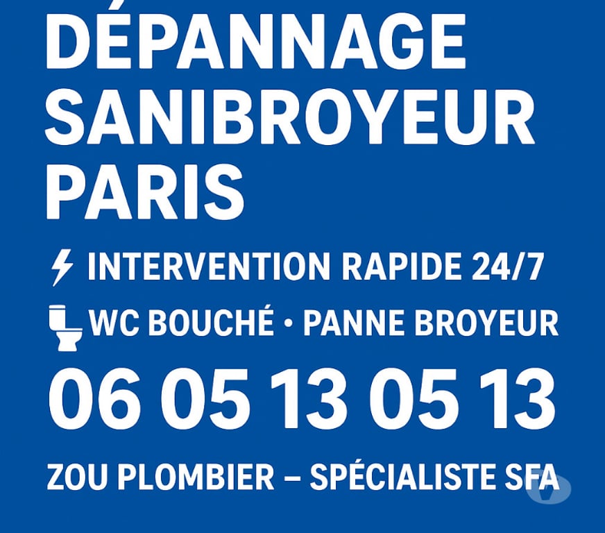 Artisans & dépannages Paris Paris 4ème ardt - 75004 - Photos Vivastreet Réparation sanibroyeur Paris 4