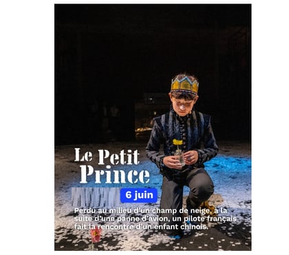 Spectacles Villeurbanne Rhône - Photos Vivastreet 2 places pour Le Petit Prince samedi 6 juin à Villeurbanne