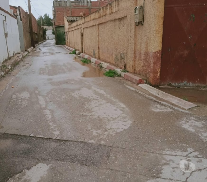 Vente Maison Nord Lille - Photos Vivastreet Ancienne maison préfabriquée