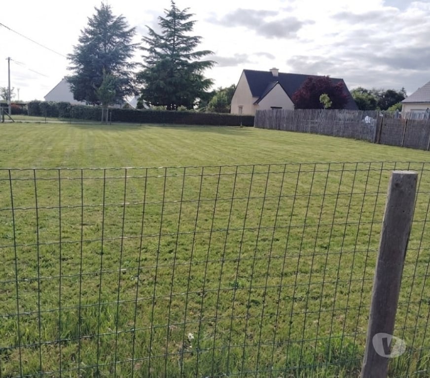 Terrain à vendre Morbihan Peillac - 56220 - Photos Vivastreet Beau terrain à Vendre
