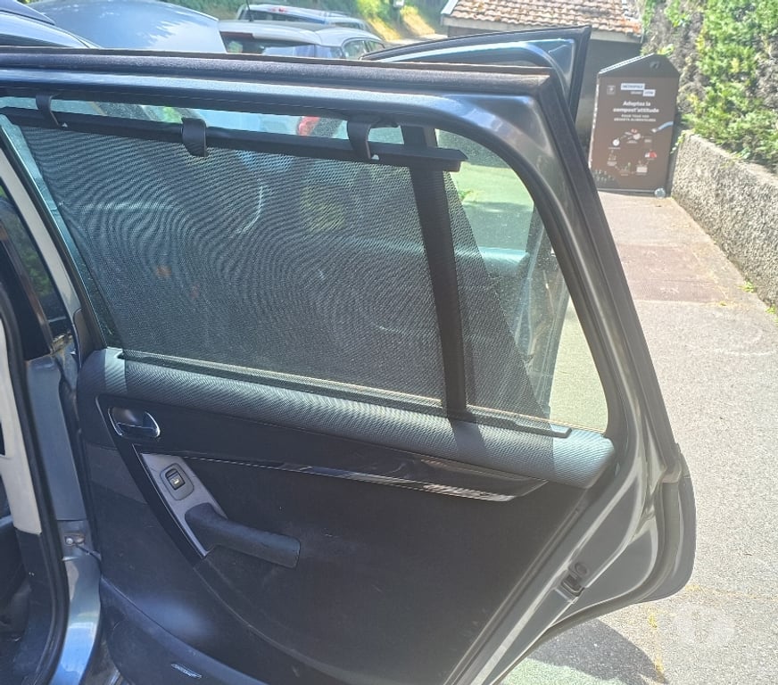 Voiture d'occasion Rhône Fontaines sur Saone - 69270 - Photos Vivastreet C4 grand picasso