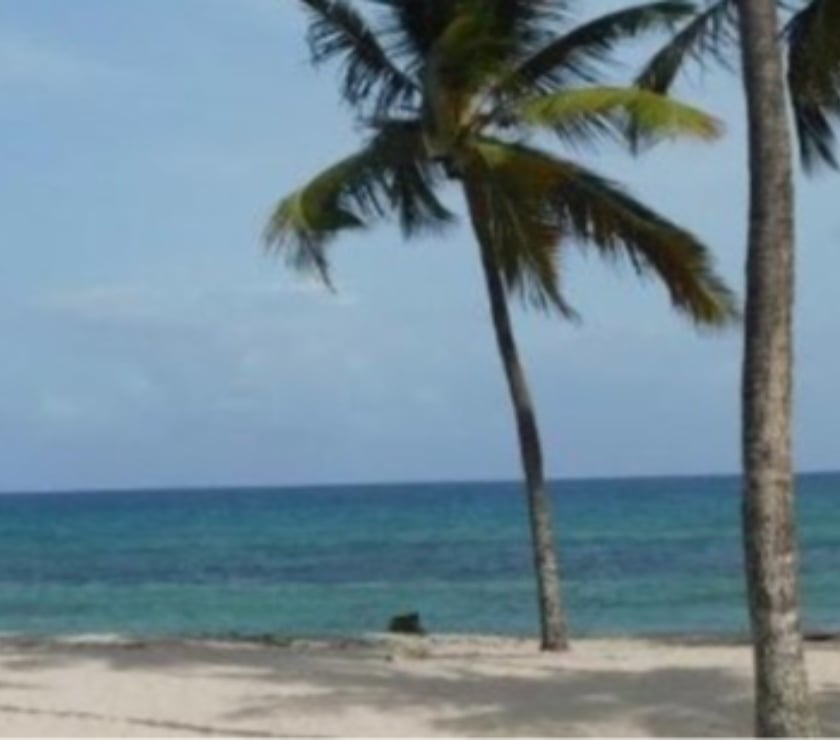 Appartements à vendre Guadeloupe Le Gosier - 97190 - Photos Vivastreet Appartement accès privatif à la plage