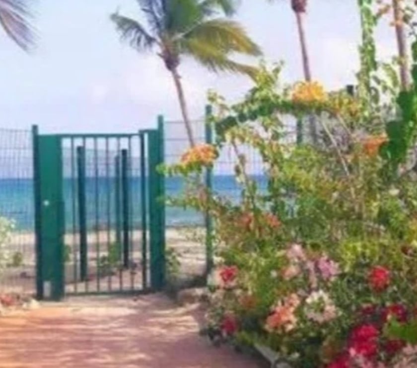 Appartements à vendre Guadeloupe Le Gosier - 97190 - Photos Vivastreet Appartement accès privatif à la plage