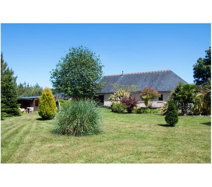 Maison à vendre Clere les Pins Indre-et-Loire - Photos Vivastreet Maison de plain pied