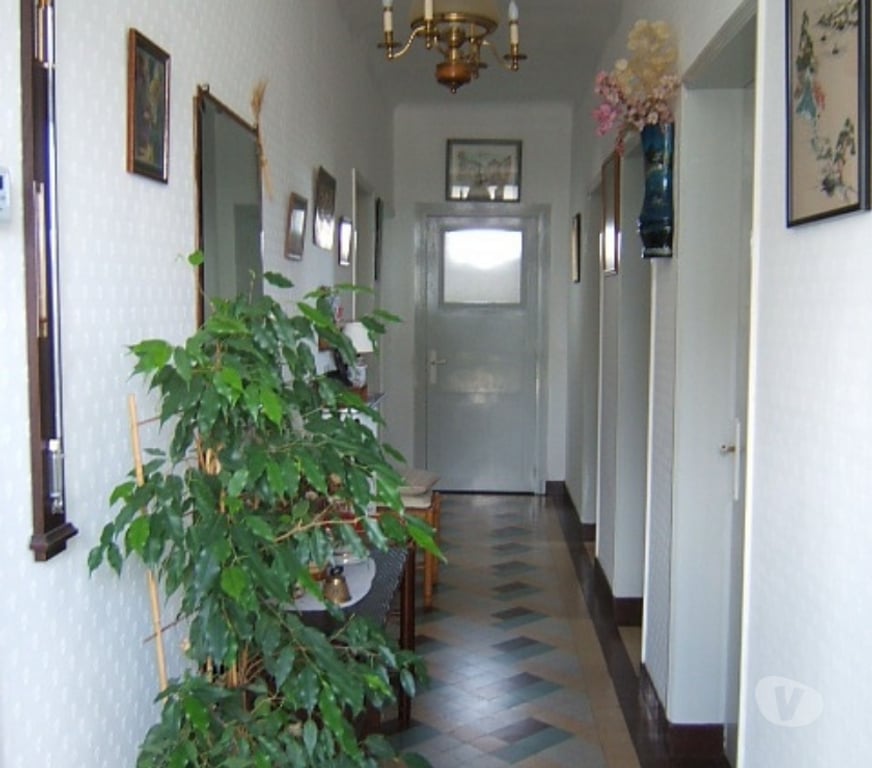 Vente Maison Loir-et-Cher Selles sur Cher - 41130 - Photos Vivastreet Maison de particulier à particulier