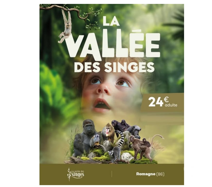 Spectacles Vienne Dienne - 86410 - Photos Vivastreet 1 pass 4 parcs " Vos Destinations Nature " dans la Vienne