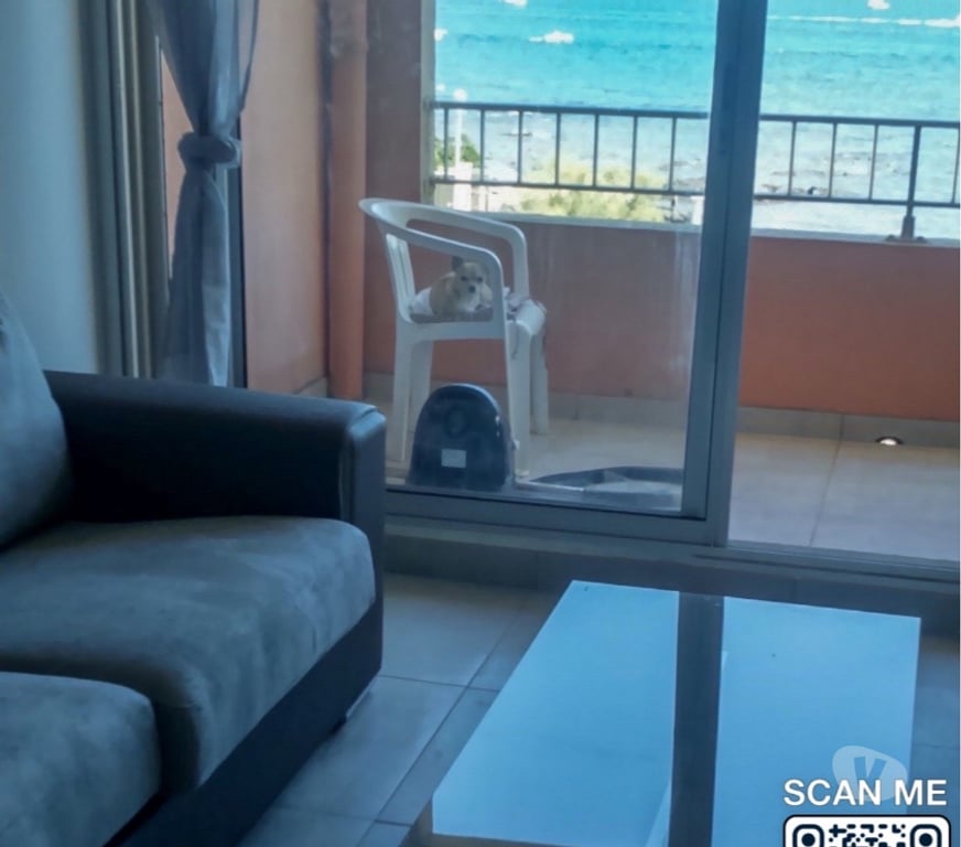 Appartements à vendre Hérault Agde - 34300 - Photos Vivastreet Appartement pleine vu mer