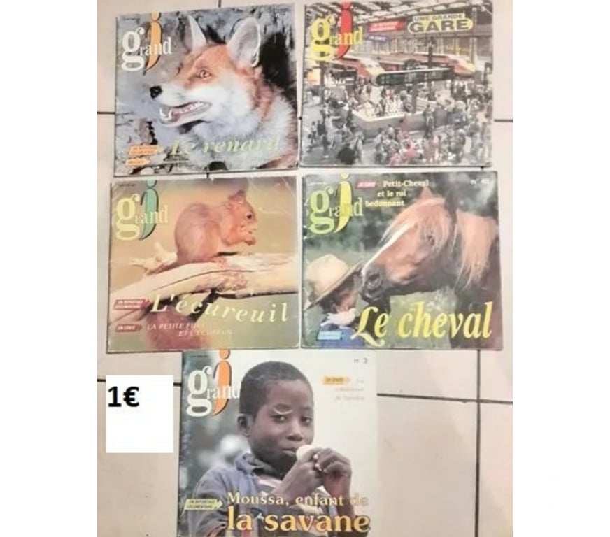 Livres occasion Nord Neuville en Ferrain - 59960 - Photos Vivastreet Lot de 5 magazines pour enfant au choix pas d'envoi