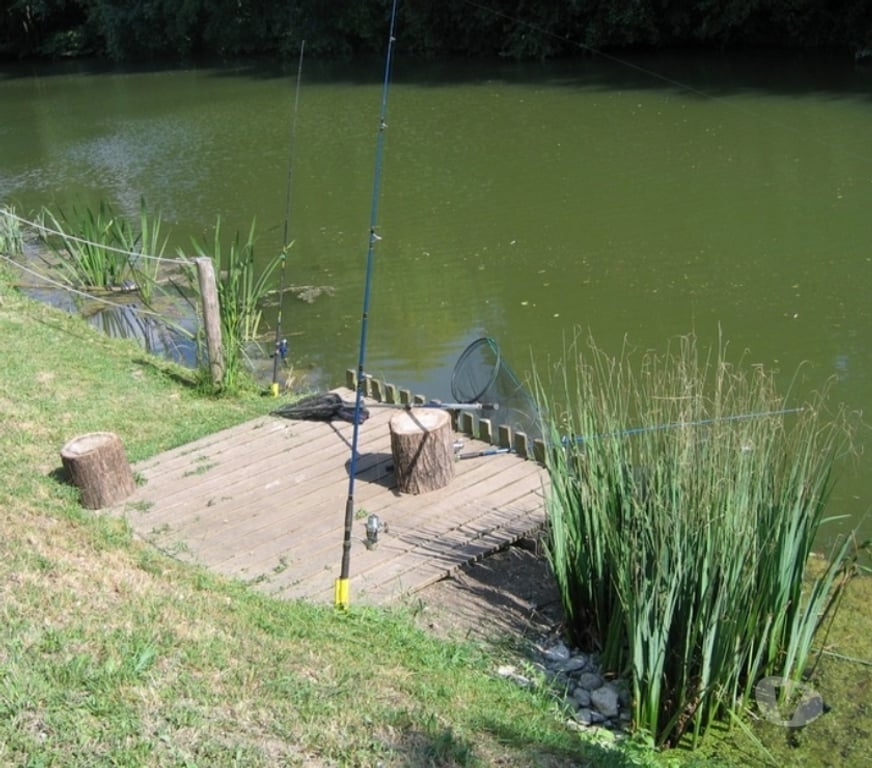 location saisonniere Vendée Damvix - 85420 - Photos Vivastreet Gite vacances en Marais Poitevin-Venise verte