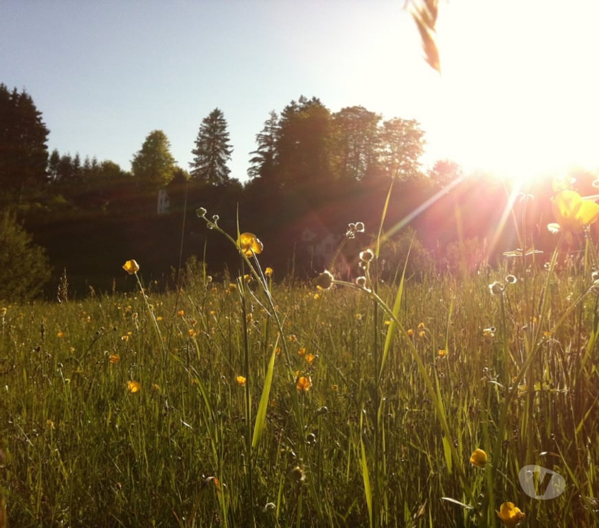 Terrain à vendre Bas-Rhin Le Hohwald - 67140 - Photos Vivastreet Superbe terrain Hohwald