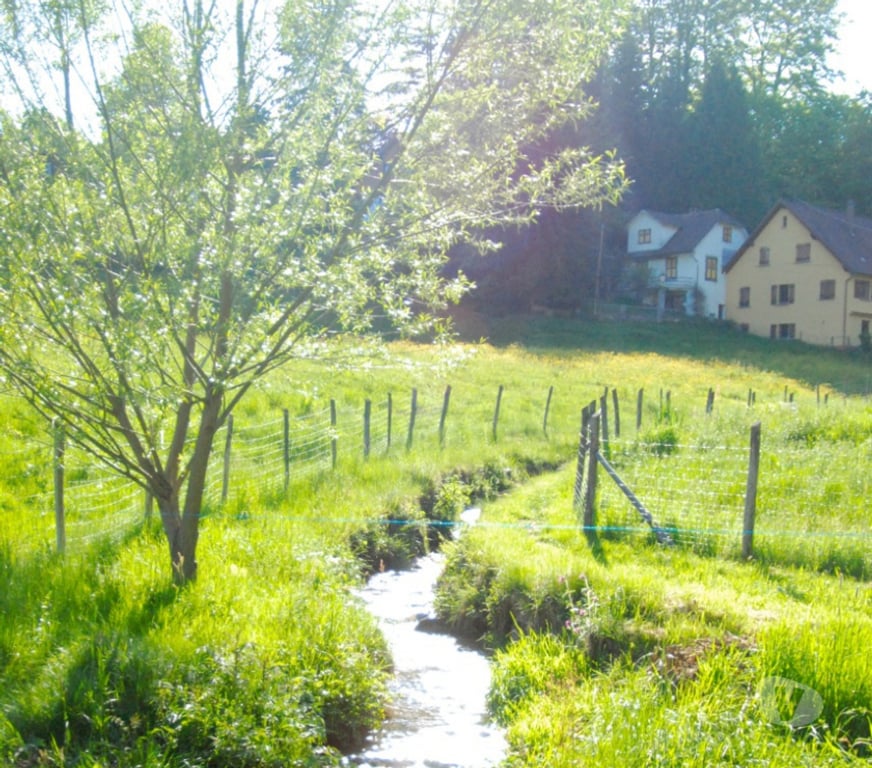 Terrain à vendre Bas-Rhin Le Hohwald - 67140 - Photos Vivastreet Superbe terrain Hohwald
