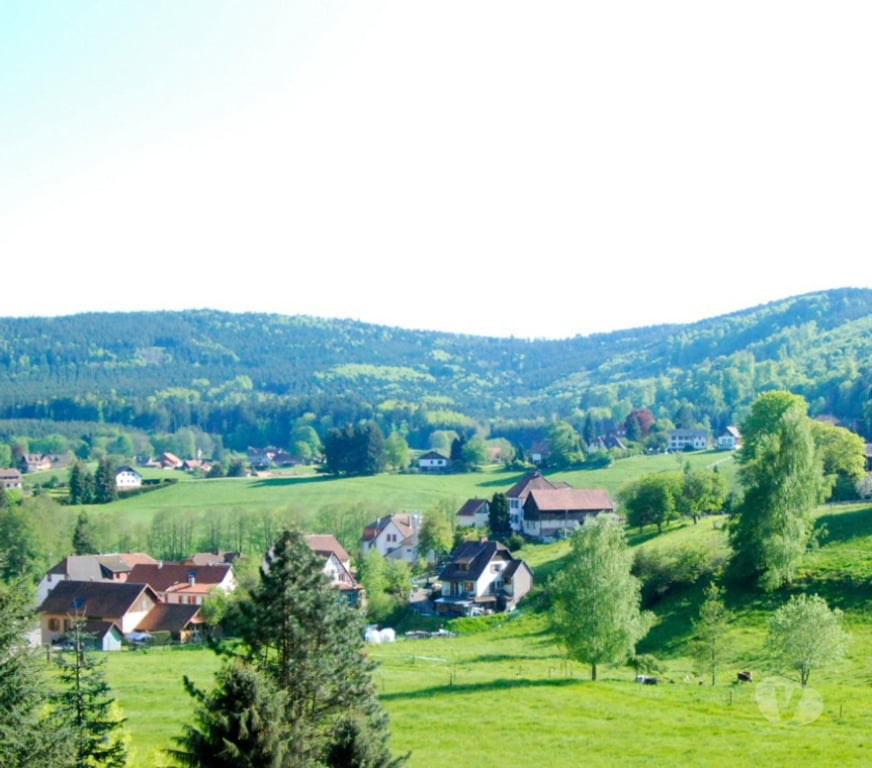 Terrain à vendre Bas-Rhin Le Hohwald - 67140 - Photos Vivastreet Superbe terrain Hohwald