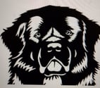 Cezais - Vendée — Éducation Comportementalisme Canine