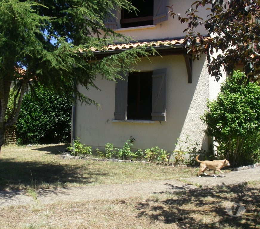 Vente Maison Gironde La Teste de Buch - 33260 - Photos Vivastreet Maison avec jardin