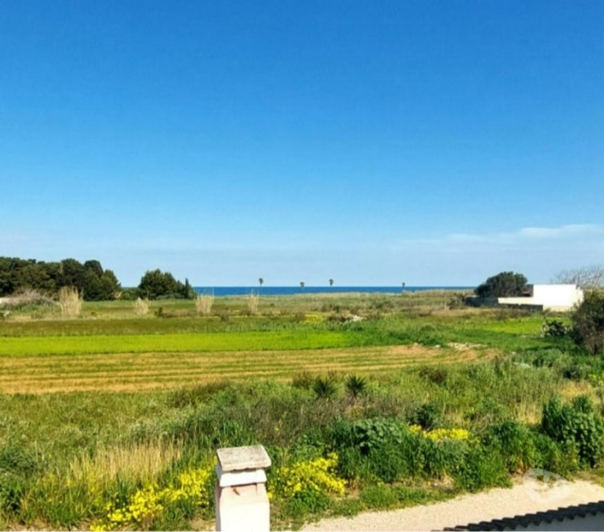 location saisonniere Paris Paris 1er ardt - 75001 - Photos Vivastreet Villa dans les Pouilles à 300 m de la mer