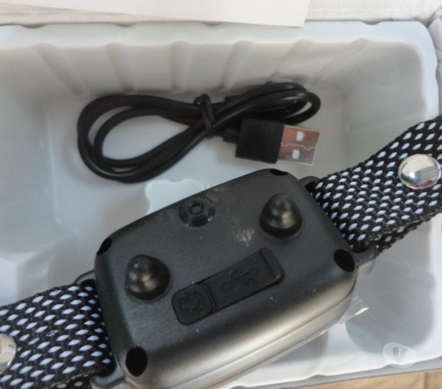 Services, accessoires animaux Oise Bornel - 60540 - Photos Vivastreet Collier pour chien