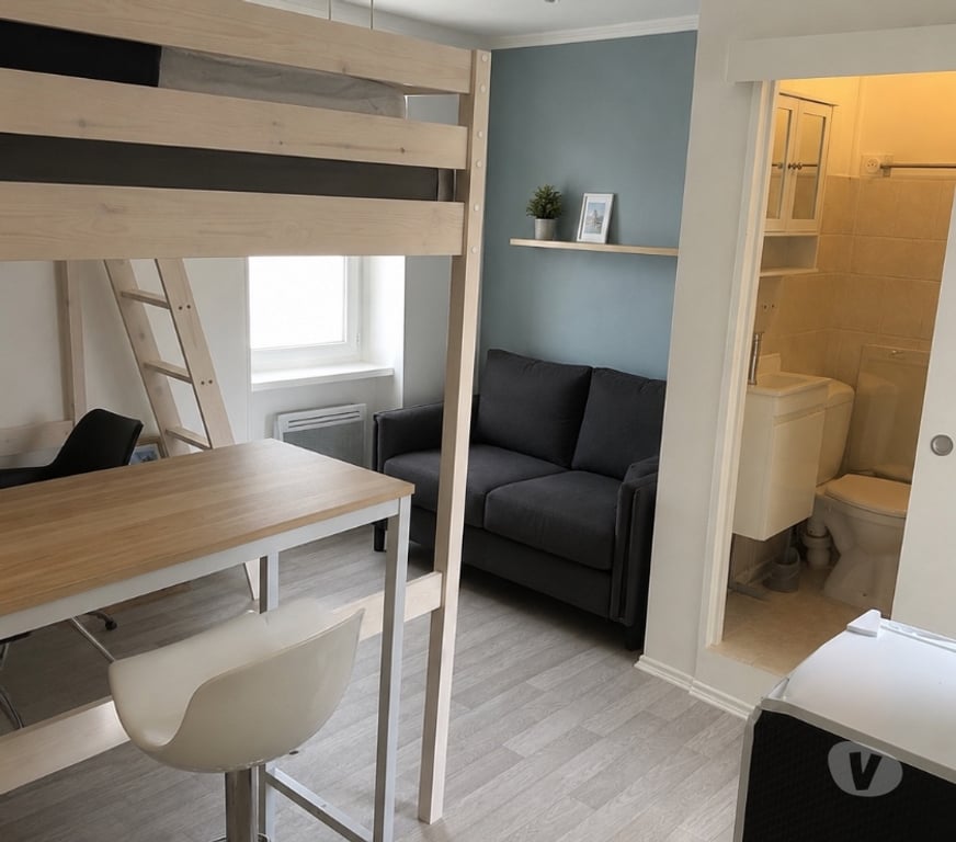 Appartement meublé Val-de-Marne Charenton le Pont - 94220 - Photos Vivastreet studio meublé bien placé et calme