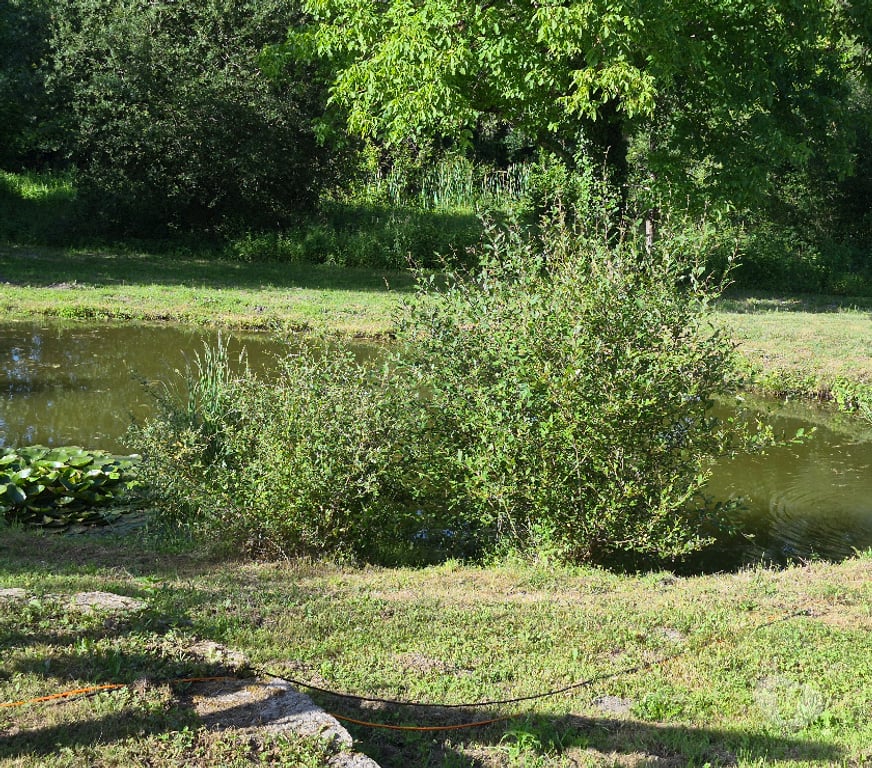 Vente Maison Lot Teyssieu - 46190 - Photos Vivastreet Bien d'exception dans le Lot46