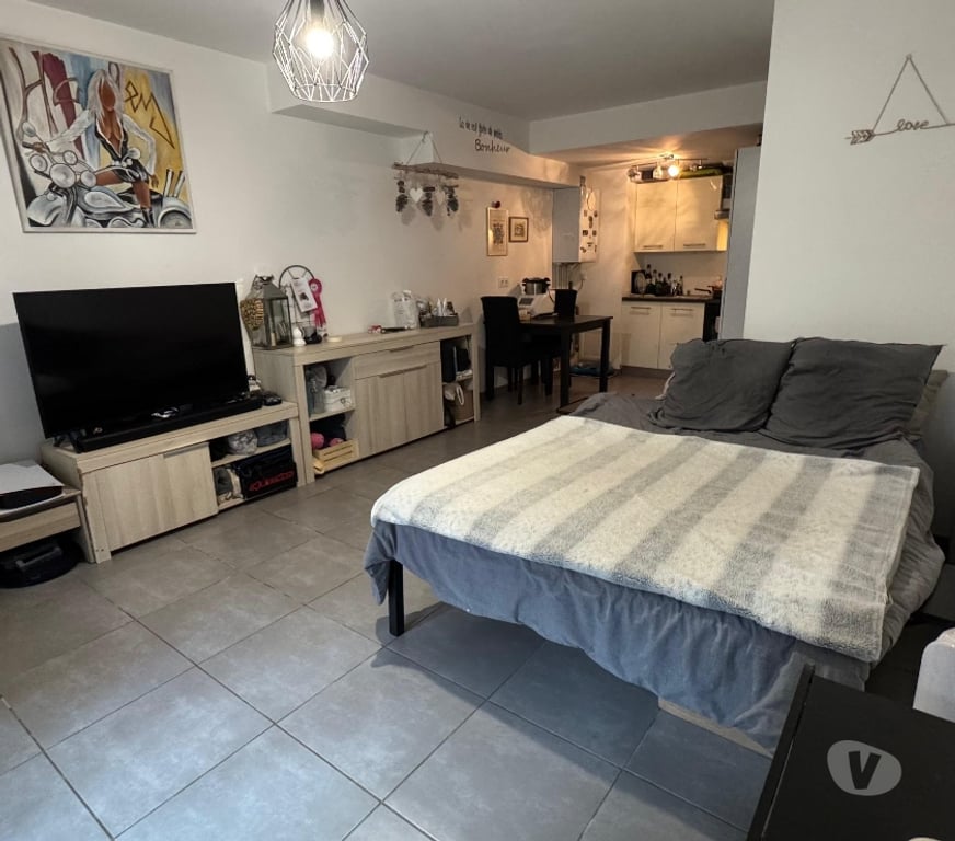Appartements à vendre Savoie Aix les Bains - 73100 - Photos Vivastreet Studio terrasse et jardin