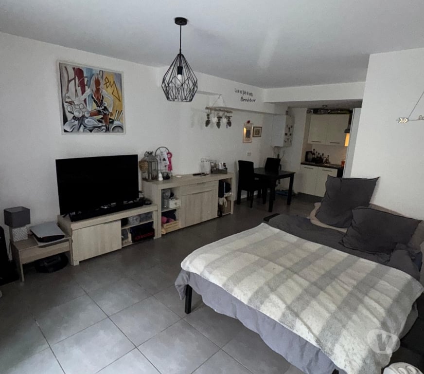 Appartements à vendre Savoie Aix les Bains - 73100 - Photos Vivastreet Studio terrasse et jardin