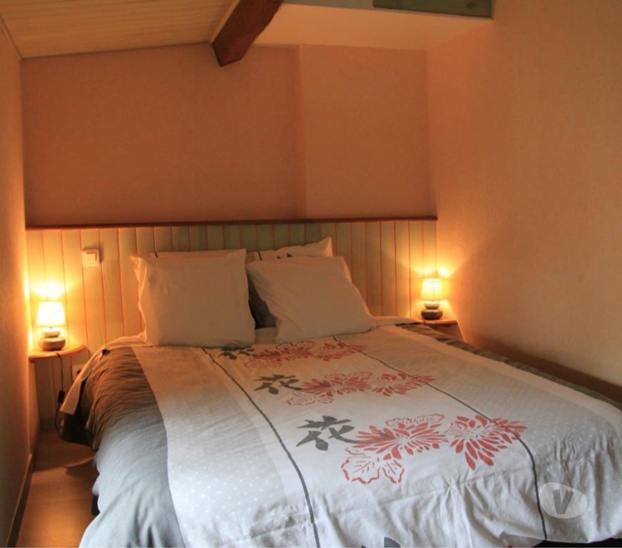 location saisonniere Puy-de-Dôme St Julien de Coppel - 63160 - Photos Vivastreet Gîte Auvergne - campagne nature -promo du 18 07 au 1 08