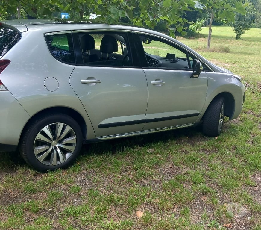 Voiture d'occasion Loire St Pierre de Boeuf - 42520 - Photos Vivastreet Peugeot 30081.6 165ch