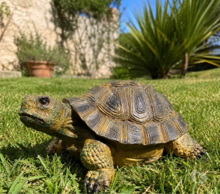  Loiret Bazoches les Gallerandes - Photos Vivastreet Tortue décorative en résine décoration jardin intérieur