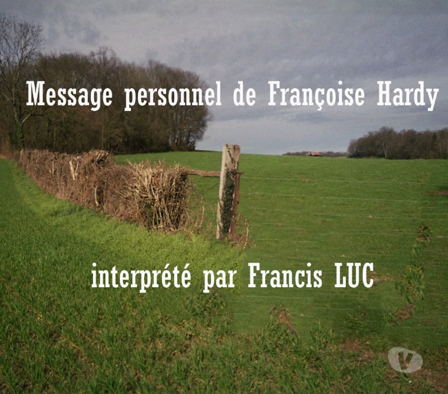 Organisations d'evènements Seine-et-Marne Lieusaint - 77127 - Photos Vivastreet Animez vos réceptions, vos séminaires, vos repas !