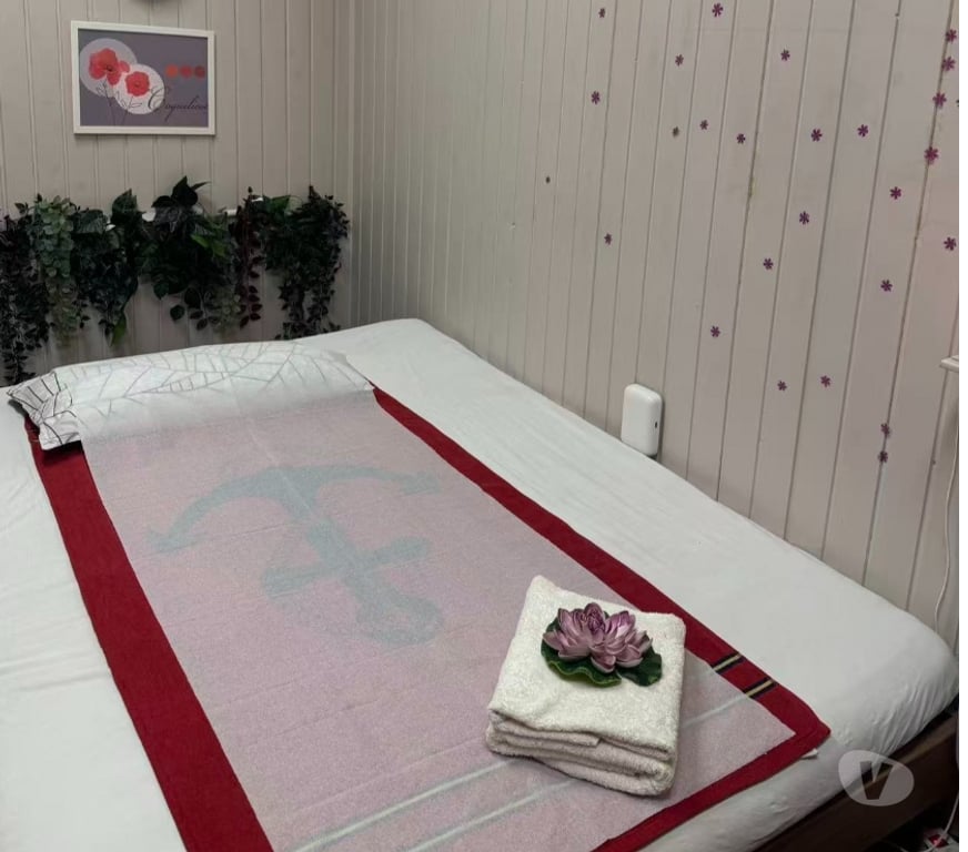 Massages Vosges Epinal - 88000 - Photos Vivastreet Salon de massage Huanxi