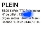 Marciac - Gers — Concert Sting Marciac (1 place et chambre d'hôtes)