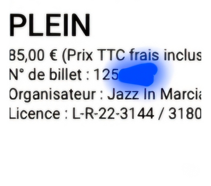 Billets spectacles Marciac Gers - Photos Vivastreet Concert Sting Marciac (1 place et chambre d'hôtes)