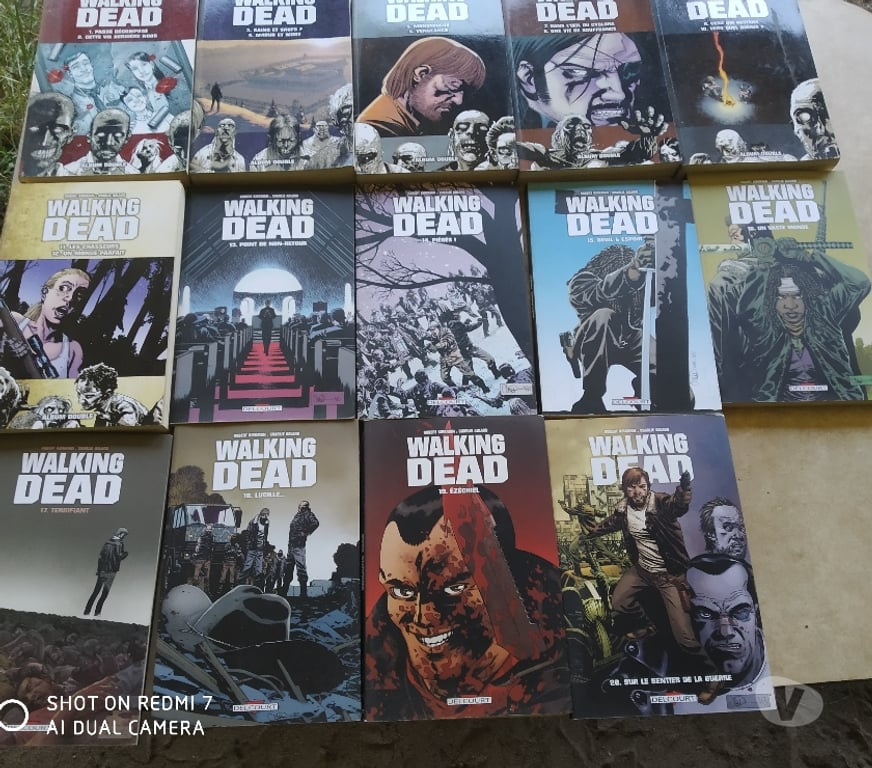 Livres occasion Gironde Leogeats - 33210 - Photos Vivastreet BD The Walking Dead